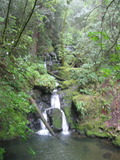 /pix/2011/tam988a.jpg