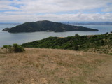 tiburon1128a.jpg