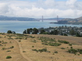 tiburon1129a.jpg