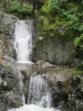 /pix/2012/alumrock1203a.jpg