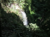bigbasin1523a.jpg