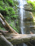 /pix/2012/bigbasin1526a.jpg