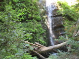 bigbasin1528a.jpg