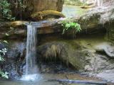 /pix/2012/bigbasin1530a.jpg