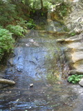 /pix/2012/bigbasin1532a.jpg