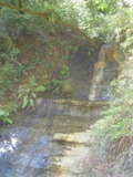 bigbasin1534a.jpg