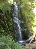 /pix/2012/bigbasin1538a.jpg