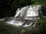 /pix/2012/butano1460a.jpg