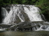 /pix/2012/butano1464a.jpg