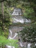 /pix/2012/butano1468a.jpg