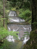 /pix/2012/butano1470a.jpg