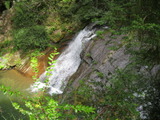 /pix/2012/butano1472a.jpg