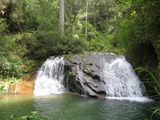 /pix/2012/butano1474a.jpg