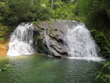 /pix/2012/butano1475a.jpg