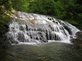 /pix/2012/butano1478a.jpg