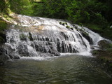 /pix/2012/butano1480a.jpg