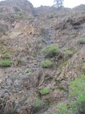 /pix/2012/diablo1229a.jpg