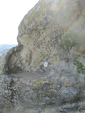ebmud1195a.jpg