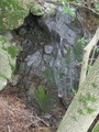 /pix/2012/lucasv1328a.jpg