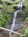 /pix/2012/lucasv1333a.jpg