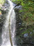 /pix/2012/morses1397a.jpg