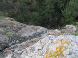 mtgeorge1188a.jpg