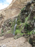 /pix/2012/reyes1428a.jpg