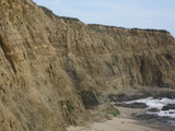 /pix/2012/scotts1275a.jpg