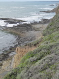 /pix/2012/scotts1279a.jpg