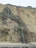 /pix/2012/scotts1283a.jpg