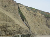 /pix/2012/scotts1284a.jpg