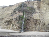 /pix/2012/scotts1285a.jpg