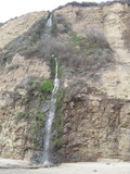 /pix/2012/scotts1286a.jpg