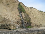 /pix/2012/scotts1288a.jpg