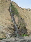 /pix/2012/scotts1289a.jpg