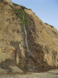 /pix/2012/scotts1296a.jpg