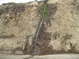 /pix/2012/scotts1298a.jpg