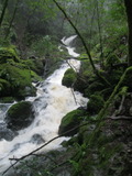/pix/2012/tam1359a.jpg