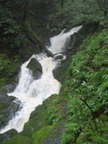 /pix/2012/tam1362a.jpg