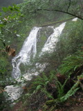 /pix/2012/tam1364a.jpg