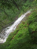 /pix/2012/tam1366a.jpg