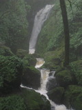 /pix/2012/tam1368a.jpg