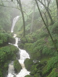 /pix/2012/tam1370a.jpg