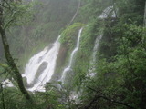 /pix/2012/tam1371a.jpg