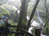 /pix/2012/tam1374a.jpg
