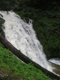 /pix/2012/tam1383a.jpg