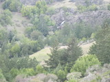 /pix/2012/tam1385a.jpg