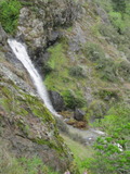 /pix/2012/tam1391a.jpg