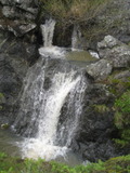 /pix/2012/tam1392a.jpg