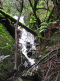 /pix/2012/tam1543a.jpg